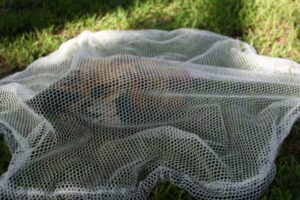  Catching Net for Poultry and Small Animals (Heavy