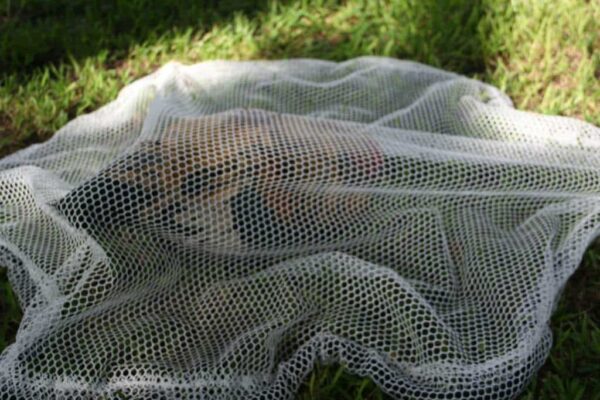 Small Animal Throw Nets