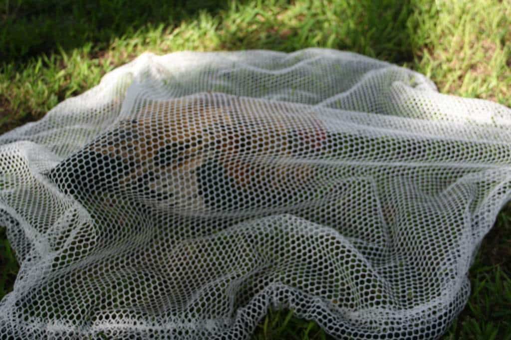Small Animal Throw Nets