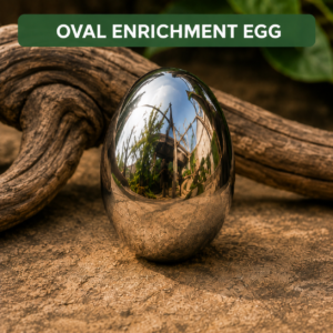 Oval Enrichment Egg