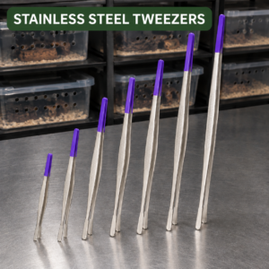 Stainless Steel Tweezers